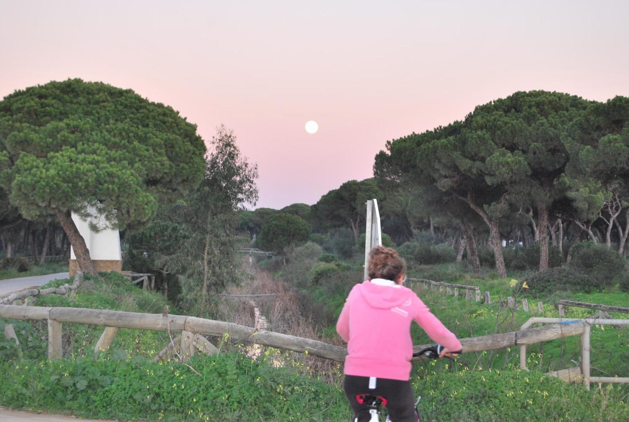 Tranvia Beach House Chipiona Eksteriør billede