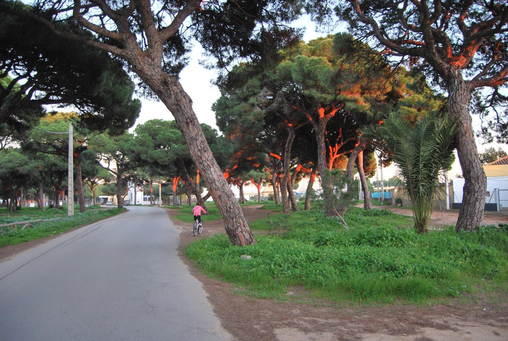 Tranvia Beach House Chipiona Eksteriør billede
